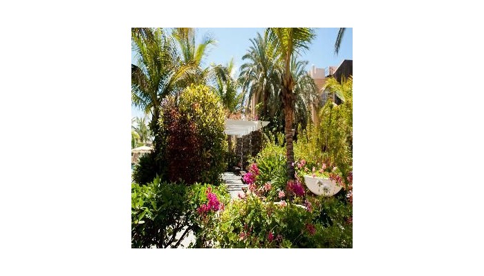 Hotel Palm Oasis Maspalomas poza 4