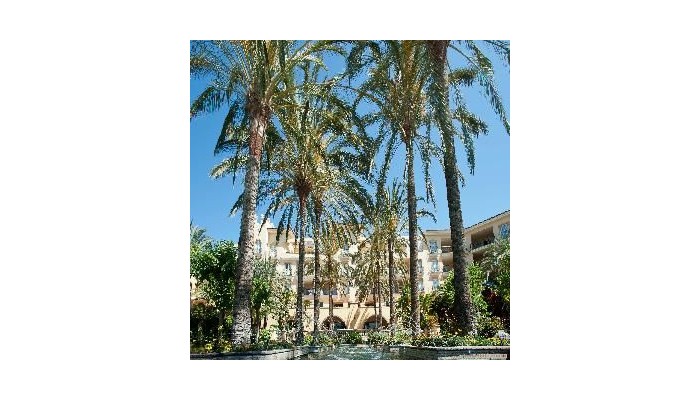 Hotel Palm Oasis Maspalomas poza 6