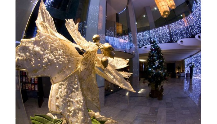 Hotel Paradise Valle Taurito poza 2