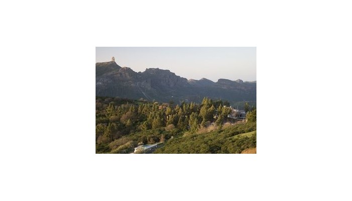 Hotel Parador De Cruz De Tejeda poza 11