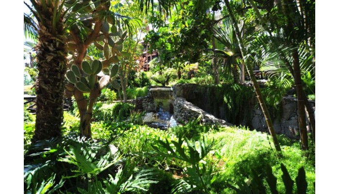 Hotel Parque Tropical poza 0