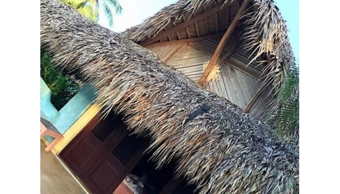 Hotel Costa Las Ballenas poza 0