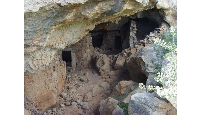 Hotel Blue Horizon poza 5