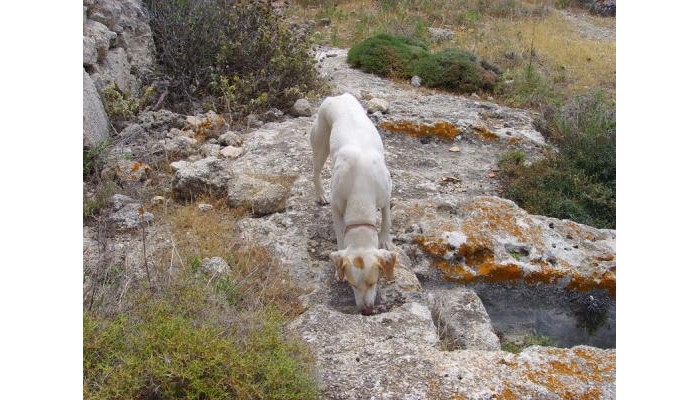 Hotel Blue Horizon poza 9