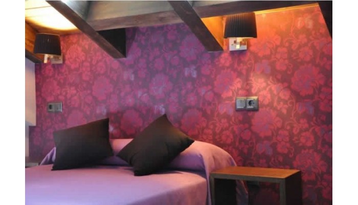 Hotel Le Petit Leon poza 0