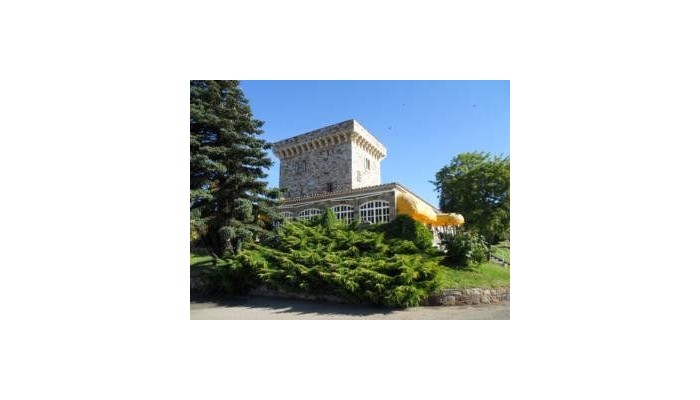 Hotel Temple Pradorrey poza 0