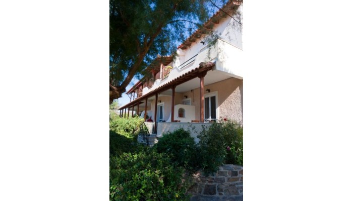 Poza pentru Zorbas Apartments 665-1546165996 Zorbas Apartments poza 6