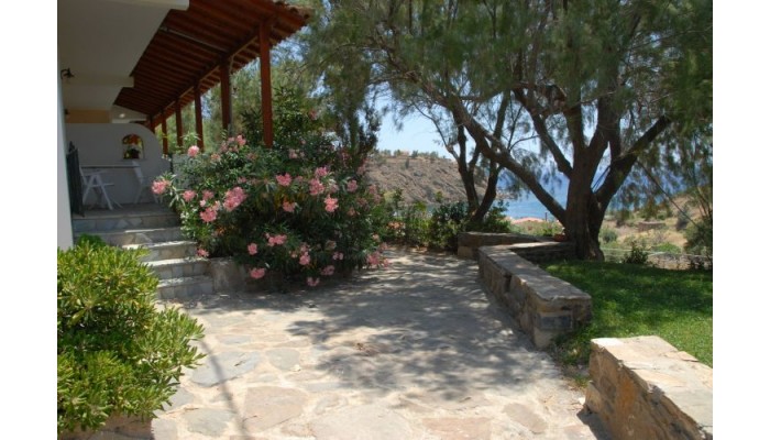 Poza pentru Zorbas Apartments 684-1546165992 Zorbas Apartments poza 5