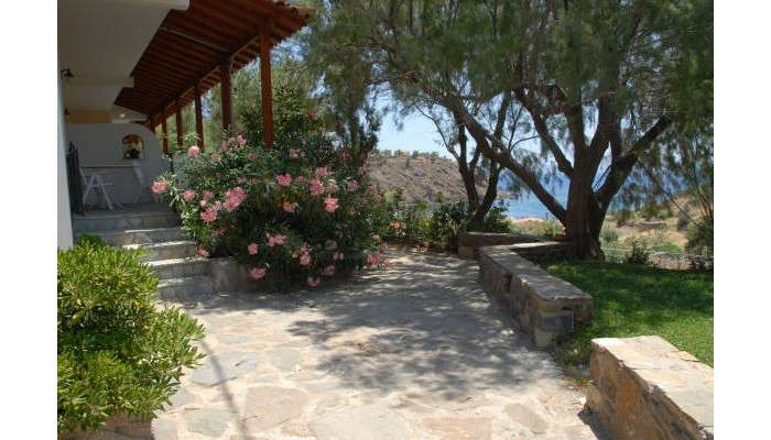 Poza pentru Zorbas Apartments 8481-1567124484 Zorbas Apartments poza 8