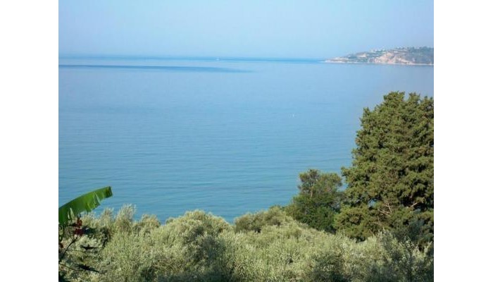 Agios Gerasimos Studios poza 15