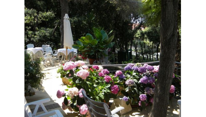 Hotel La Rosa Del Tirreno poza 5