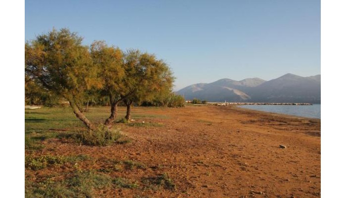 Aura Boutique Hotel poza 17