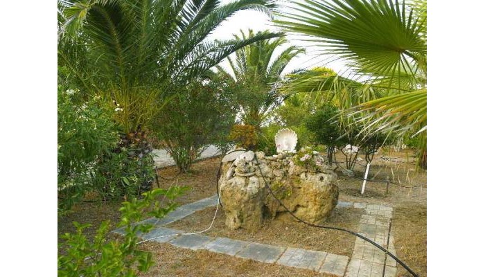 Sunny Studios & Apartments poza 1