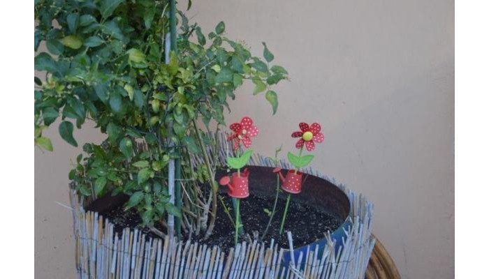 Poza pentru Villa Reverenza 9932-1551230048 Villa Reverenza poza 5
