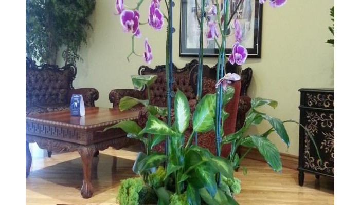 Hotel Ramada Los Angeles/wilshire Center poza 9