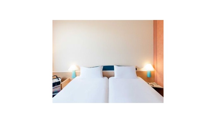 Hotel Ibis Sud poza 6