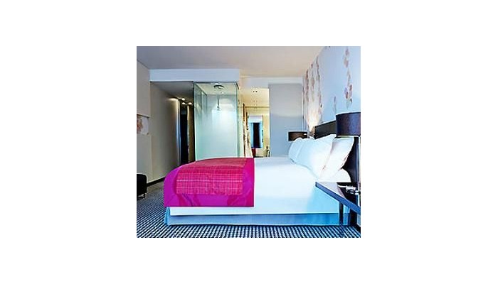 Hotel Sofitel Le Grand Ducal poza 9