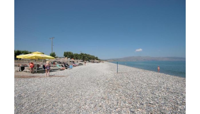 Hotel Castro Beach poza 25