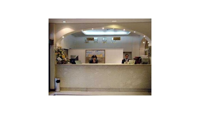 Hotel Delmon International poza 4