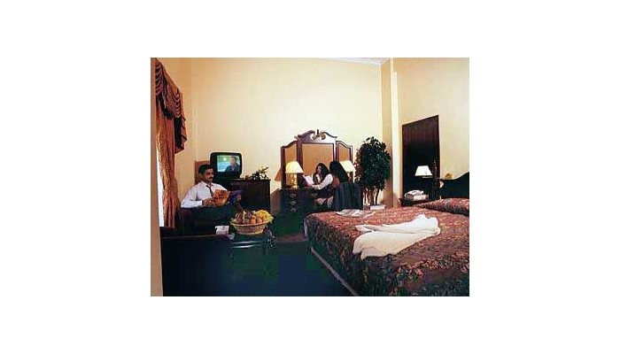 Hotel Delmon International poza 6