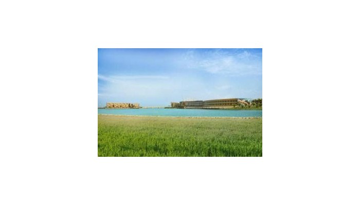 The Dragon Beach Hotel&resort poza 1