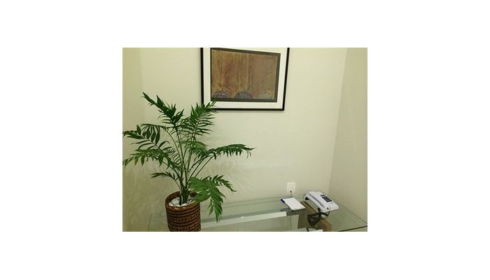 Eco Suites Hotel Manaus poza 5