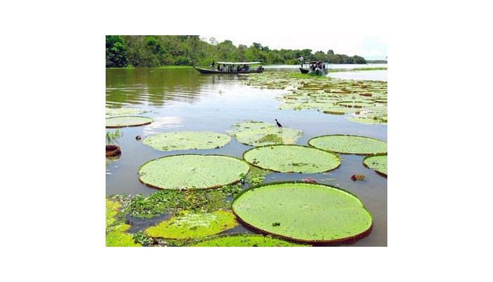 Hotel Amazon Jungle Palace poza 9