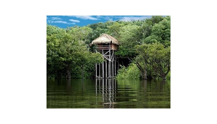 Hotel Juma Lodge poza 6