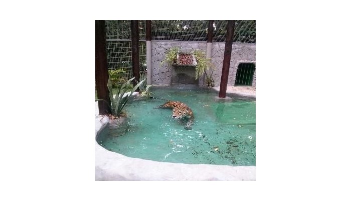 Tropical Manaus Ecoresort poza 10