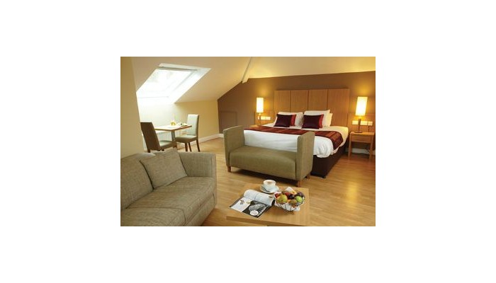 Hotel Smokies Park poza 2