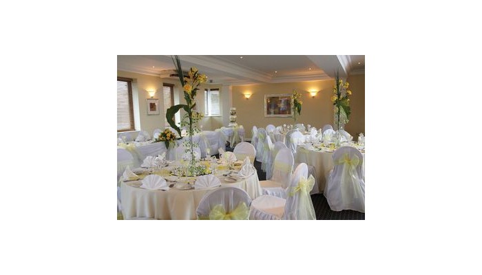 Hotel Smokies Park poza 8