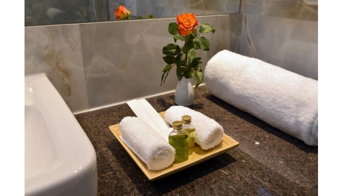 Best Western Plus Delta Park Hotel poza 11