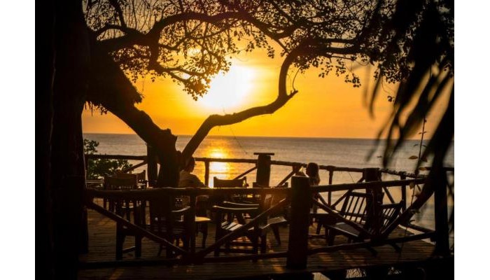 Jungle Paradise Beach Resort poza 11