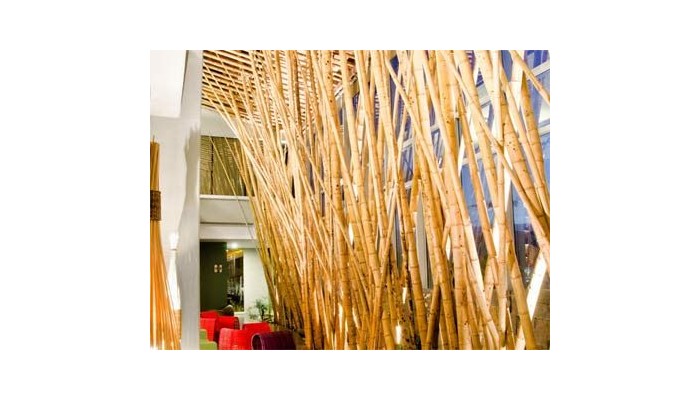 Diez Hotel poza 10