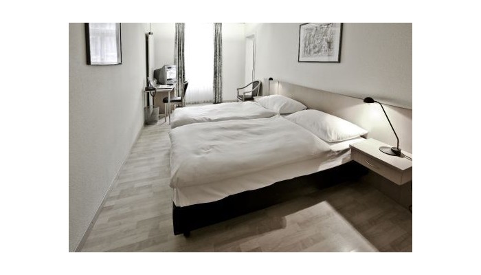 Parkhotel Du Sauvage poza 4