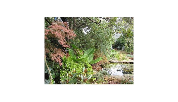 Bungunyah Apartments poza 7