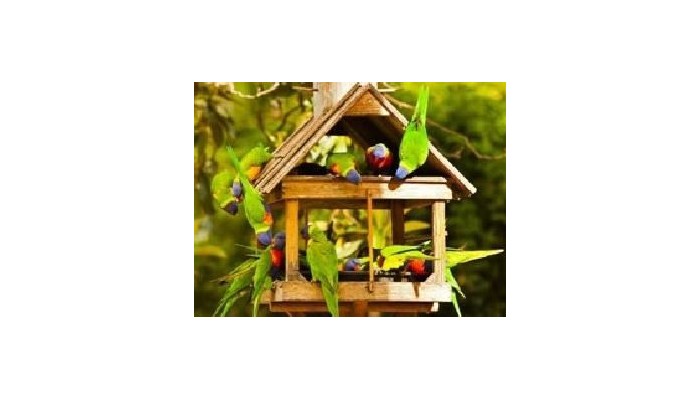 Crystal Brook Tourist Park Hotel poza 3