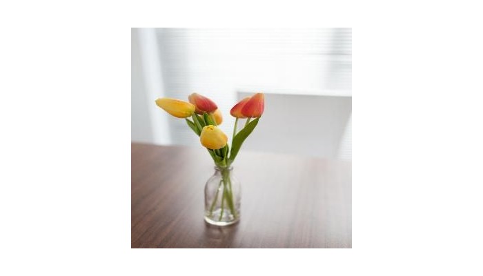 Easystay Apartments Raglan Street poza 11