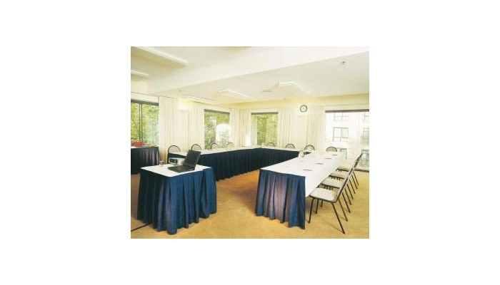 Hotel Holiday Inn On Flinders poza 5