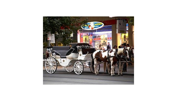 Hotel Mercure Melbourne Treasury Gar poza 10