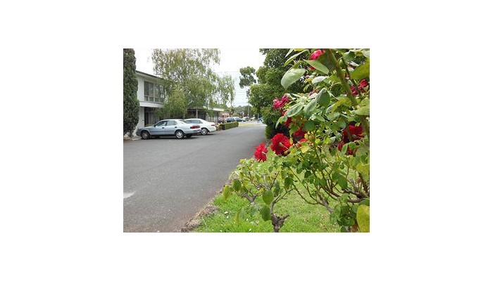 Hotel Ringwood Motel poza 2