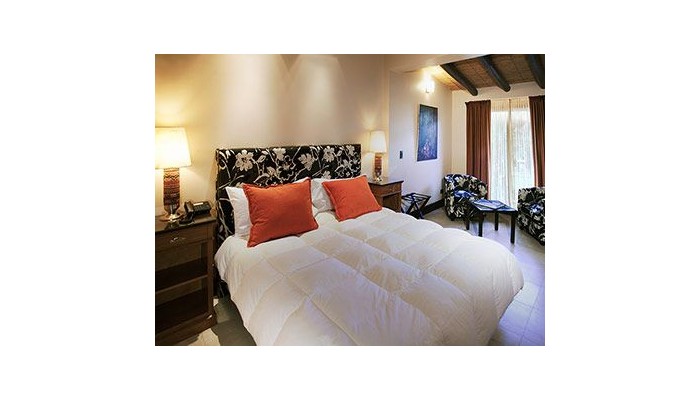 Casa La Galeana Hotel & Cavas poza 1