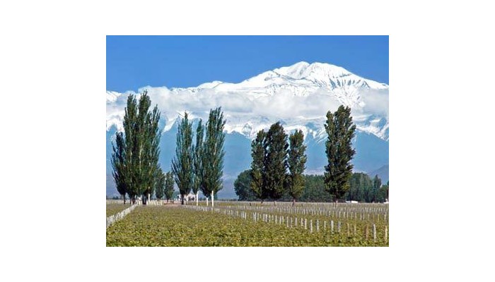 Fuente Mayor Hotel Y Resort poza 0