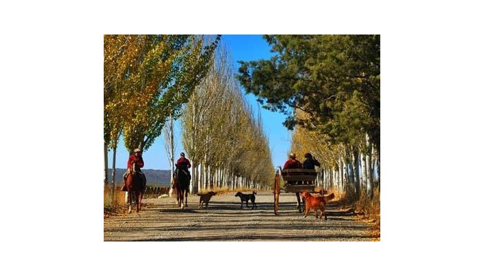 Hotel Atamisque Lodge poza 7