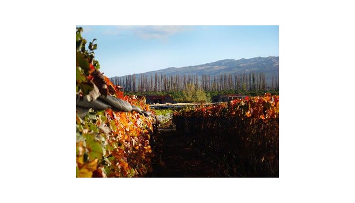 Hotel Atamisque Lodge poza 5