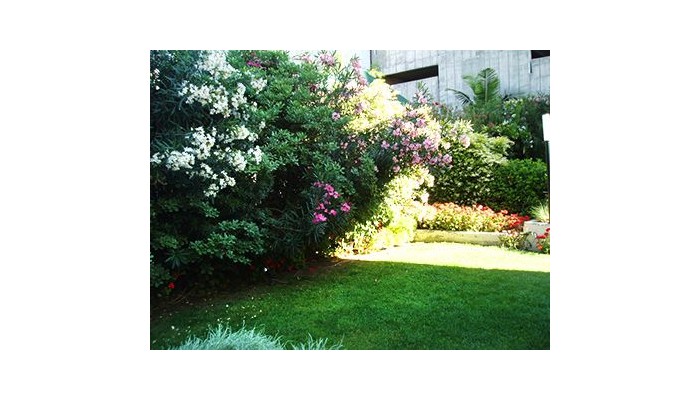 Hotel Cervantes poza 8