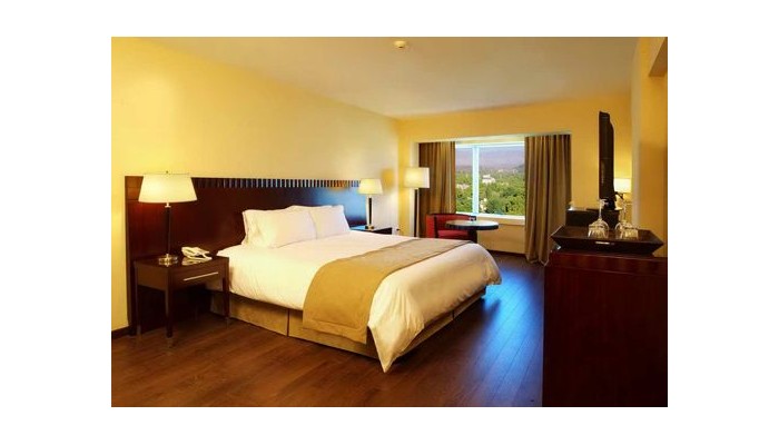 Hotel Diplomatic Park Suites poza 10