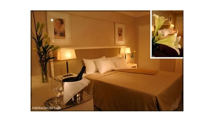 Hotel Huentala Boutique poza 8