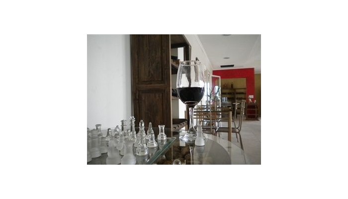 Hotel Posada Del Vino poza 11