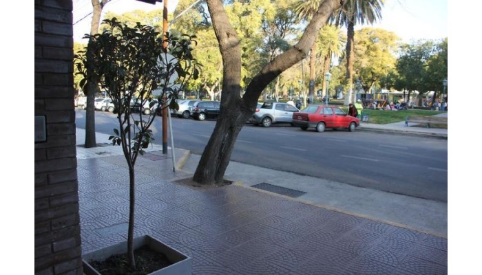 Hotel San Martin Mendoza poza 2